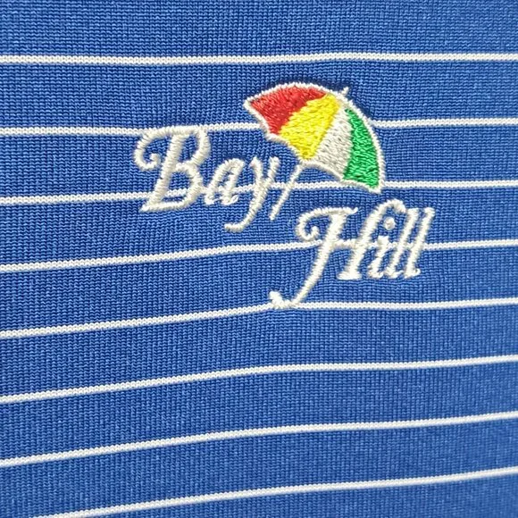 Nike Golf Polo Shirt womens XL Blue Stripe Collared Tour Performance Dri Fit - Picture 2 of 9